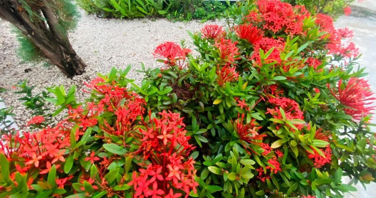 Apartment Quiet Apartment, 3 Minutes From The Beach, 24H Security, Excellent Internet Puerto Plata